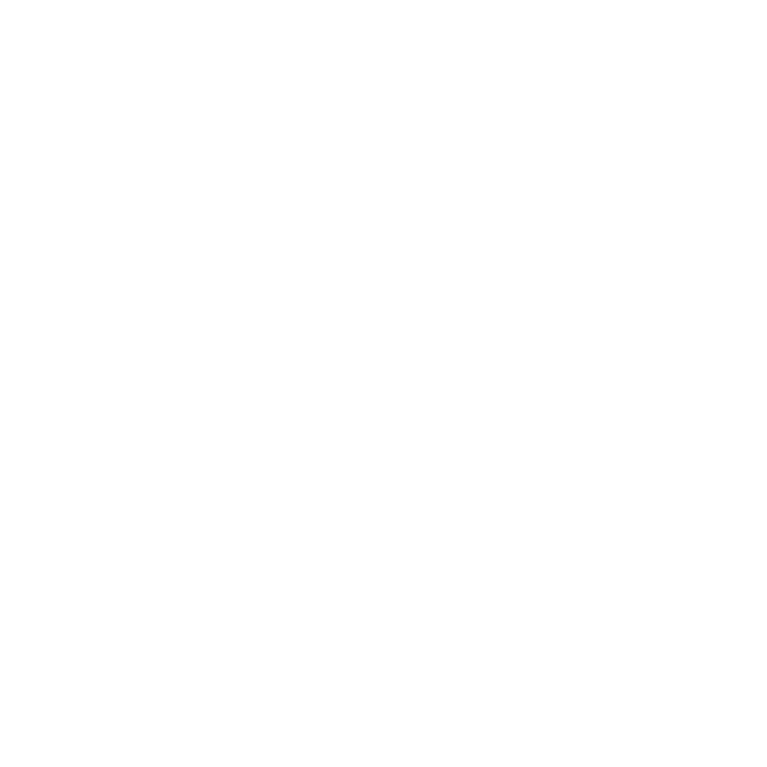 Cargo Aviation Services